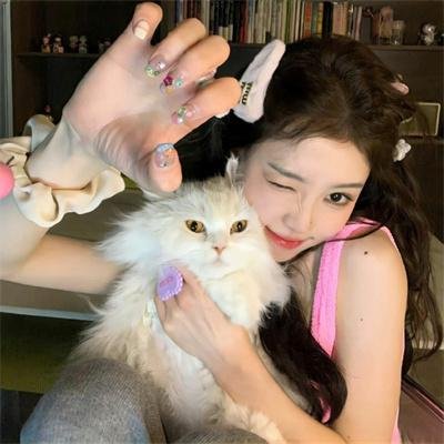 楚留香后传之西门无恨