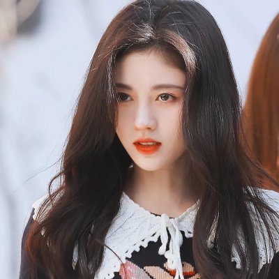 第19分部